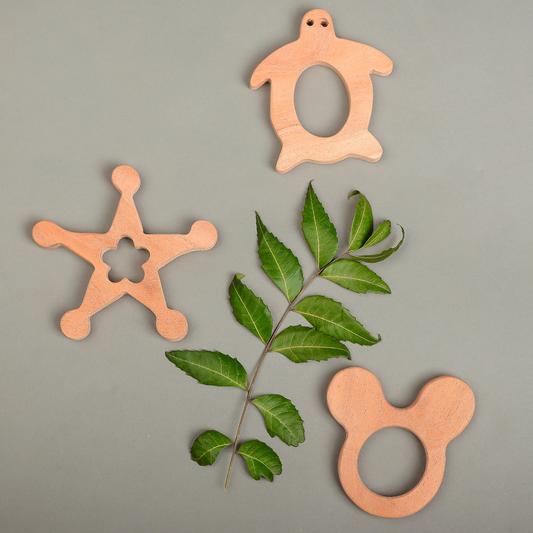 Neem Wood Teether Trio – Turtle, Star & Bear Ring Shapes | Natural & Safe Teething Toys by NeemKala